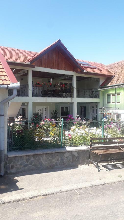 Casa Maria Retezat Affittacamere Nucsoara  Esterno foto